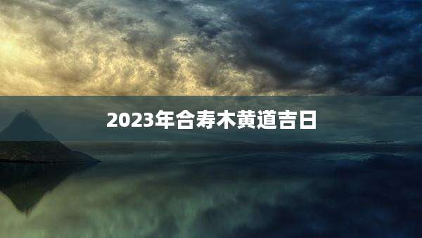 2023年合寿木黄道吉日