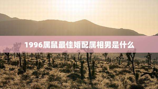 1996属鼠最佳婚配属相男是什么