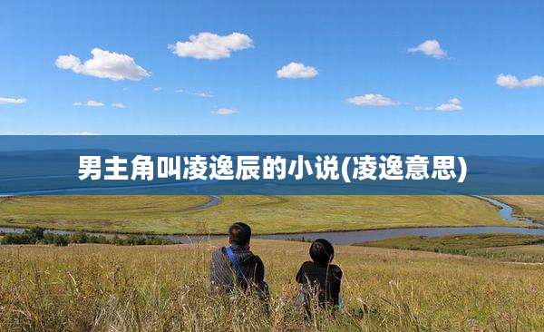 男主角叫凌逸辰的小说(凌逸意思)