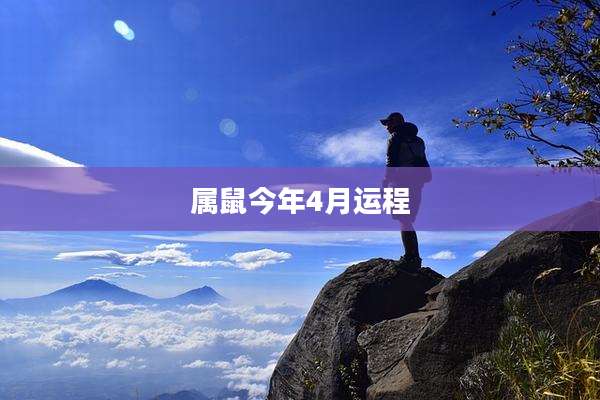 属鼠今年4月运程