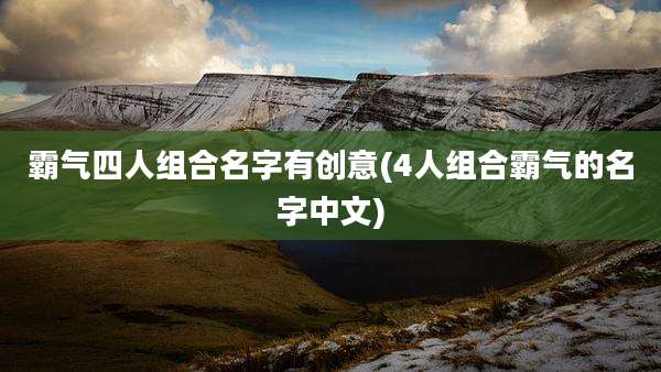 霸气四人组合名字有创意(4人组合霸气的名字中文)