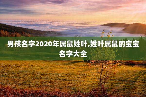 男孩名字2020年属鼠姓叶,姓叶属鼠的宝宝名字大全