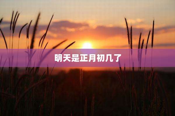 明天是正月初几了