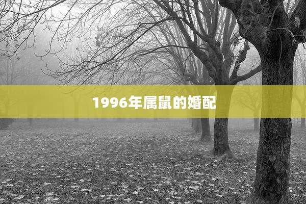 1996年属鼠的婚配