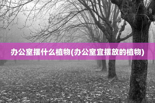 办公室摆什么植物(办公室宜摆放的植物)
