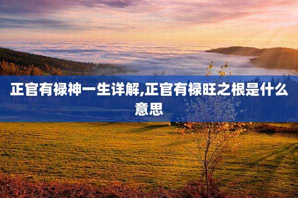 正官有禄神一生详解,正官有禄旺之根是什么意思