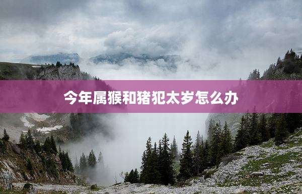 今年属猴和猪犯太岁怎么办