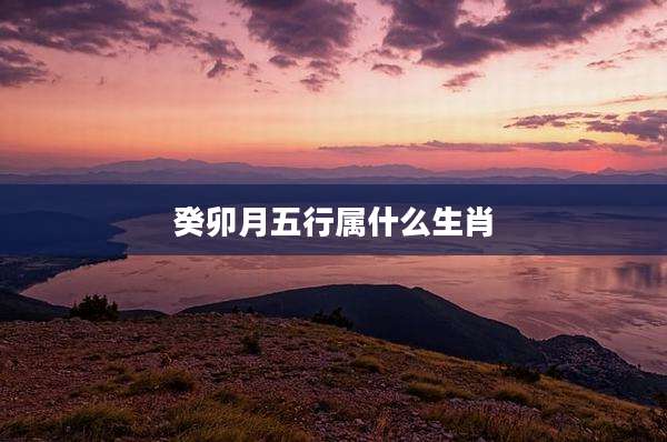 癸卯月五行属什么生肖