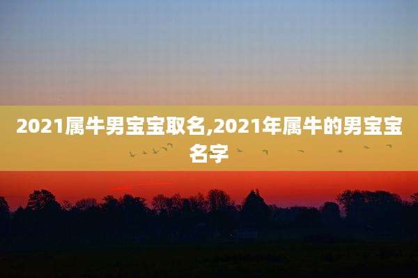 2021属牛男宝宝取名,2021年属牛的男宝宝名字