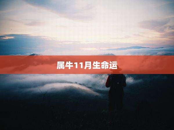 属牛11月生命运