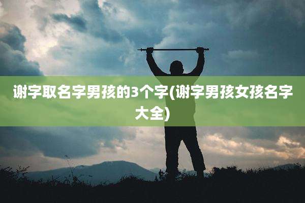 谢字取名字男孩的3个字(谢字男孩女孩名字大全)