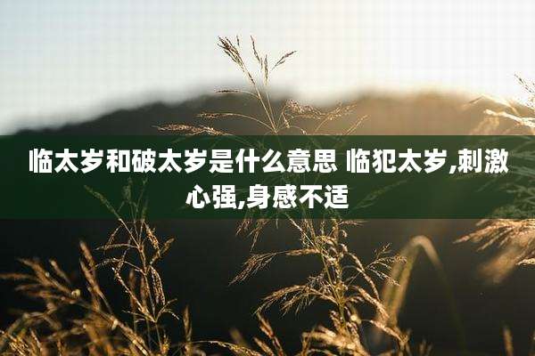 临太岁和破太岁是什么意思 临犯太岁,刺激心强,身感不适