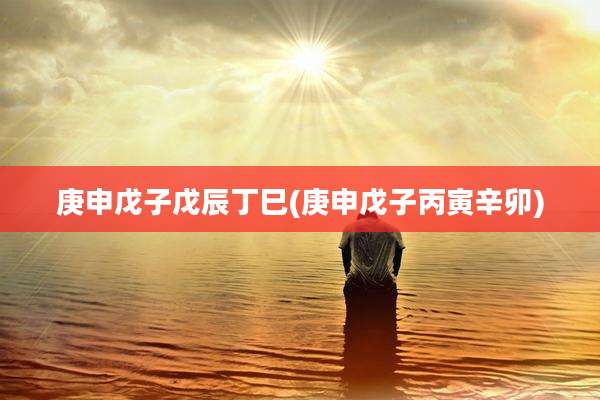 庚申戊子戊辰丁巳(庚申戊子丙寅辛卯)