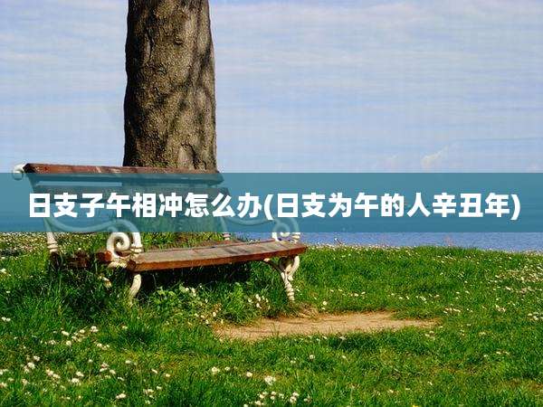 日支子午相冲怎么办(日支为午的人辛丑年)