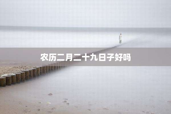 农历二月二十九日子好吗