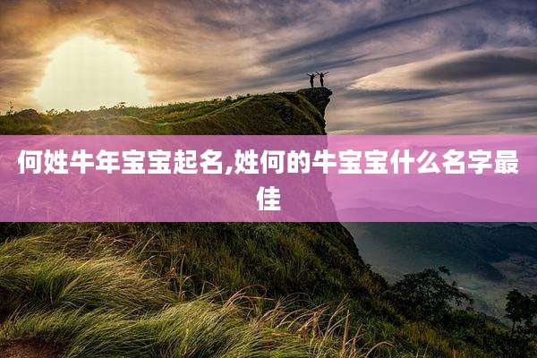 何姓牛年宝宝起名,姓何的牛宝宝什么名字最佳