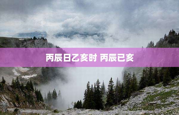 丙辰日乙亥时 丙辰已亥