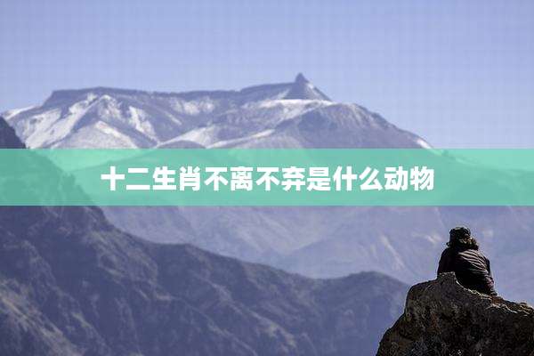 十二生肖不离不弃是什么动物