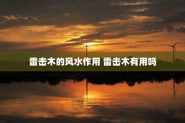 雷击木的风水作用 雷击木有用吗