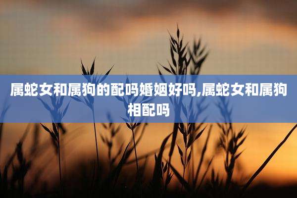 属蛇女和属狗的配吗婚姻好吗,属蛇女和属狗相配吗