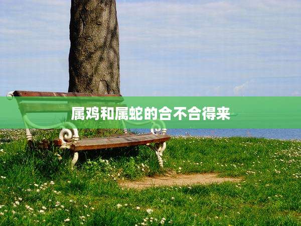 属鸡和属蛇的合不合得来
