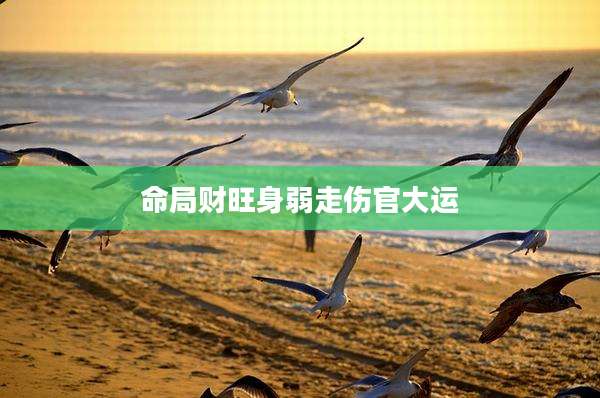 命局财旺身弱走伤官大运