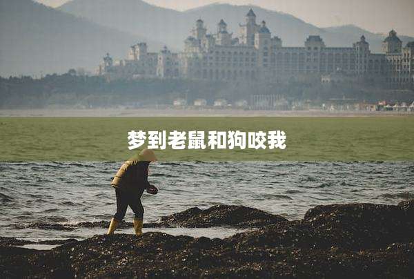 梦到老鼠和狗咬我