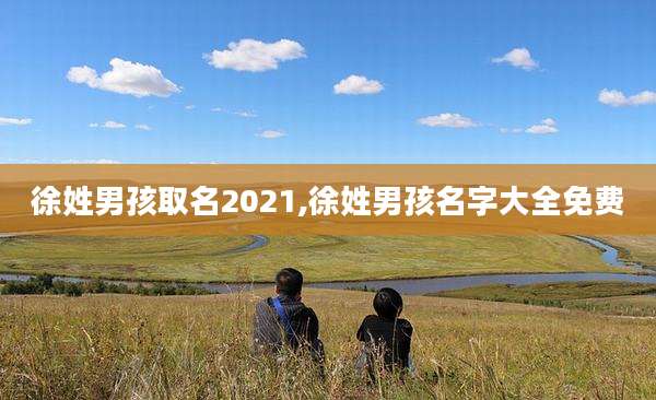 徐姓男孩取名2021,徐姓男孩名字大全免费