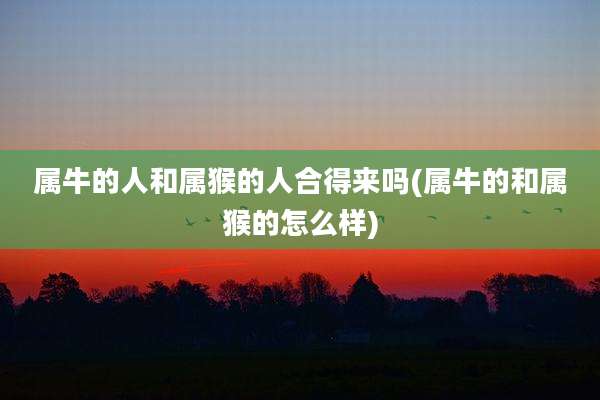 属牛的人和属猴的人合得来吗(属牛的和属猴的怎么样)