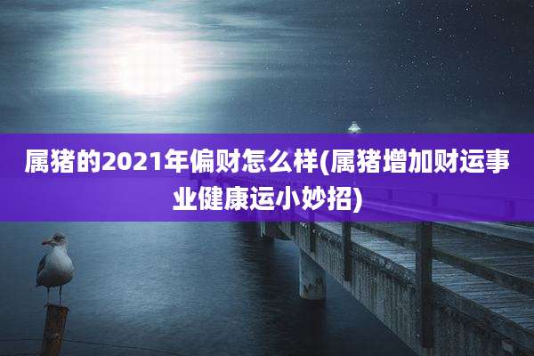 属猪的2021年偏财怎么样(属猪增加财运事业健康运小妙招)