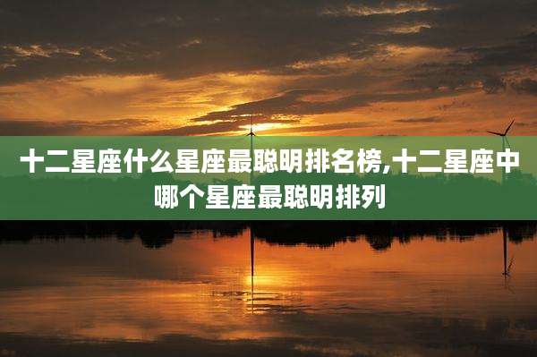十二星座什么星座最聪明排名榜,十二星座中哪个星座最聪明排列