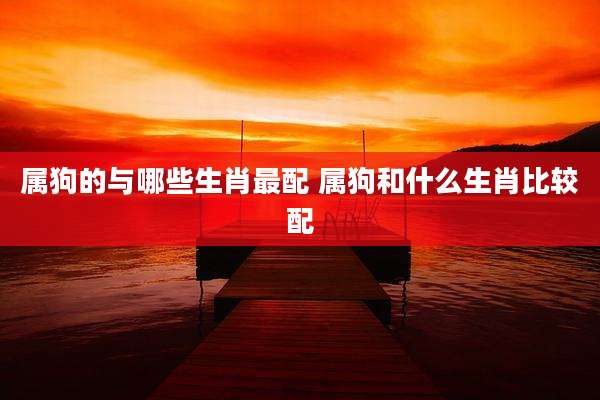 属狗的与哪些生肖最配 属狗和什么生肖比较配