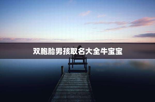 双胞胎男孩取名大全牛宝宝