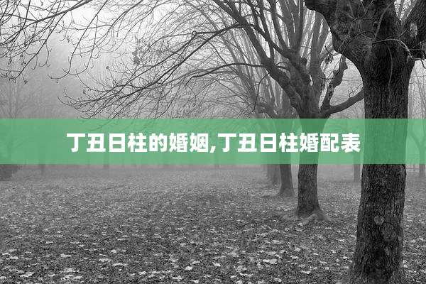 丁丑日柱的婚姻,丁丑日柱婚配表