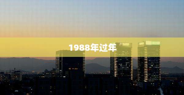 1988年过年