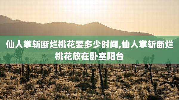 仙人掌斩断烂桃花要多少时间,仙人掌斩断烂桃花放在卧室阳台