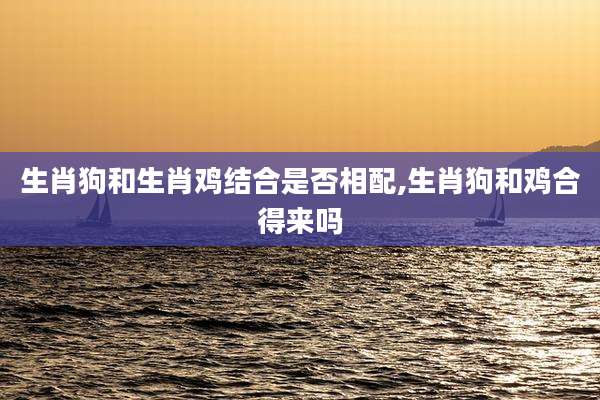 生肖狗和生肖鸡结合是否相配,生肖狗和鸡合得来吗