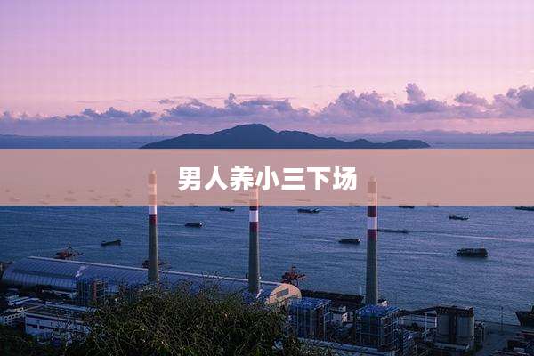 男人养小三下场