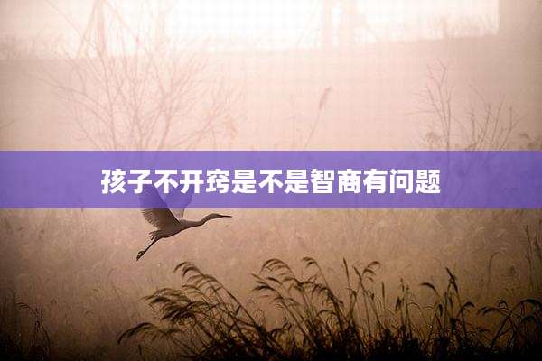 孩子不开窍是不是智商有问题