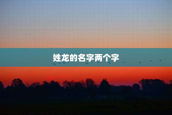 姓龙的名字两个字