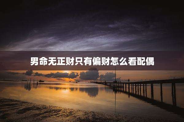 男命无正财只有偏财怎么看配偶
