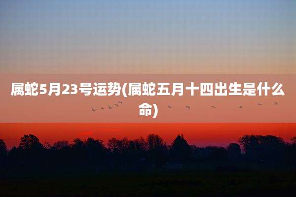 属蛇5月23号运势(属蛇五月十四出生是什么命)
