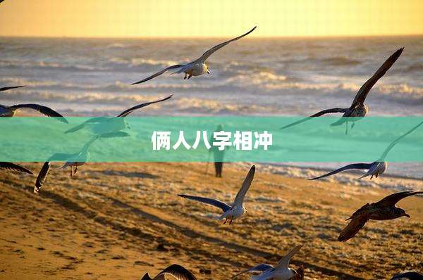俩人八字相冲