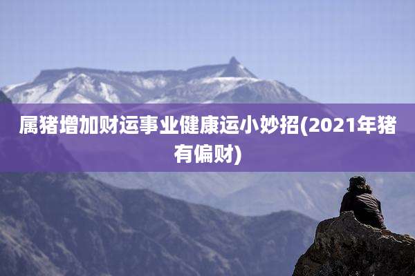 属猪增加财运事业健康运小妙招(2021年猪有偏财)