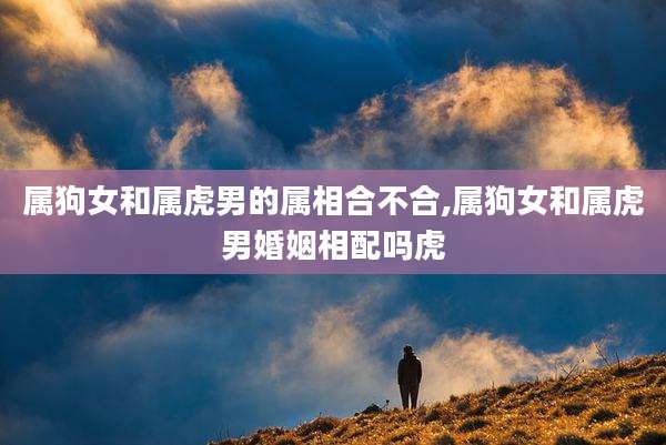 属狗女和属虎男的属相合不合,属狗女和属虎男婚姻相配吗虎