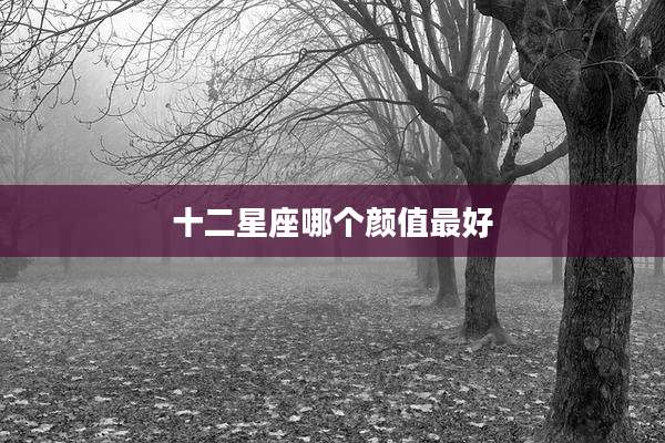 十二星座哪个颜值最好