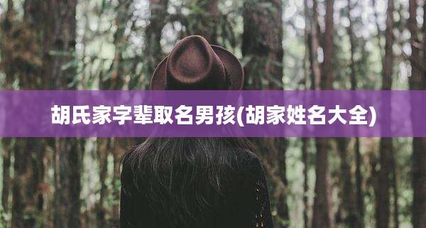 胡氏家字辈取名男孩(胡家姓名大全)