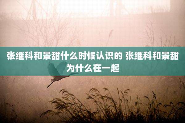 张继科和景甜什么时候认识的 张继科和景甜为什么在一起