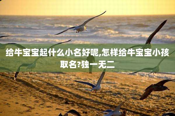 给牛宝宝起什么小名好呢,怎样给牛宝宝小孩取名?独一无二