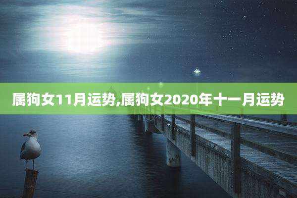 属狗女11月运势,属狗女2020年十一月运势